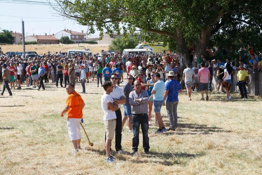 Fiestas en Zamora: Segudos espantes de Fuentesaúco