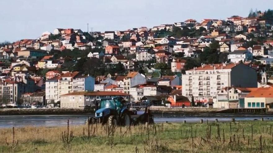 Máquina limpia playas en el arenal de A Xunqueira, en Moaña.