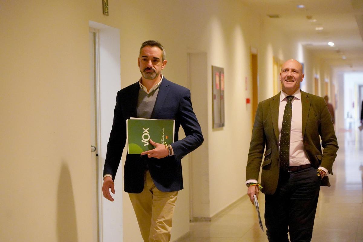 El portavoz de Vox, David Hierro.