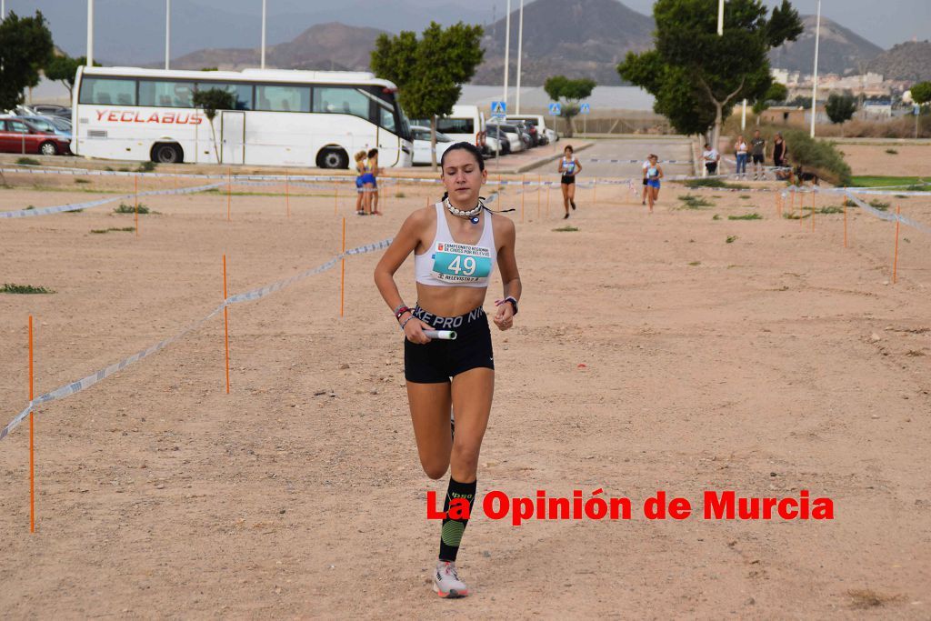 Campeonato Regional de relevos mixtos de atletismo