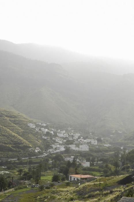 METEOROLOGIA. CALIMA.