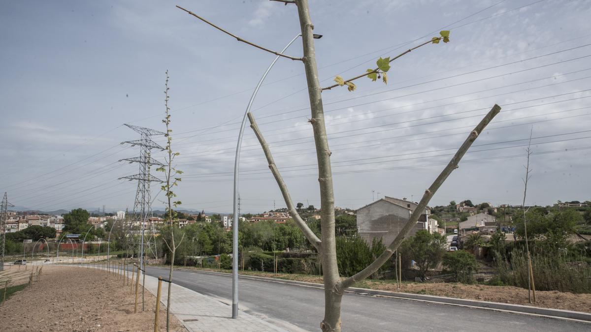 Els treballs per pavimentar elnou tram de l&#039;avinguda s&#039;han accelerat els darrers dies