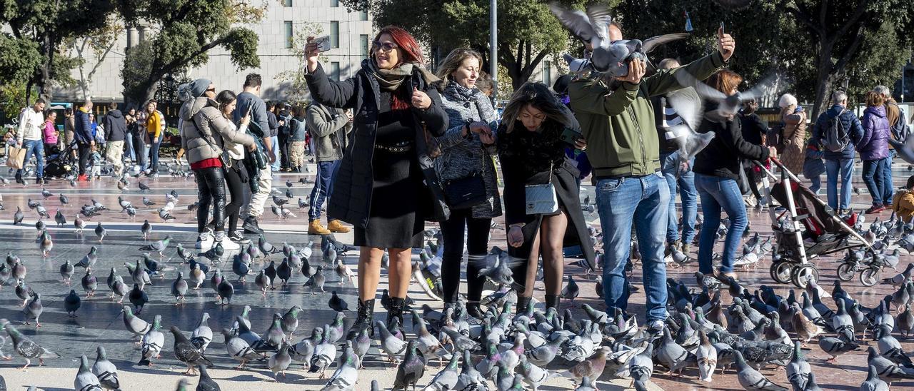 Un grupo de personas da alimento y se fotografía con las palomas en la plaza Catalunya, en Barcelona.