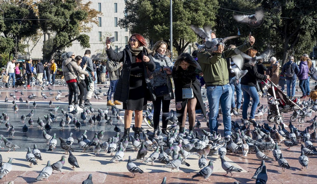 "El ayuntamiento no puede alarmarnos como si las palomas fueran una plaga bíblica" "El ayuntamiento no puede alarmarnos como si las palomas fueran una plaga bíblica"