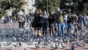 Un grupo de personas da alimento y se fotografía con las palomas en la plaza Catalunya, en Barcelona.