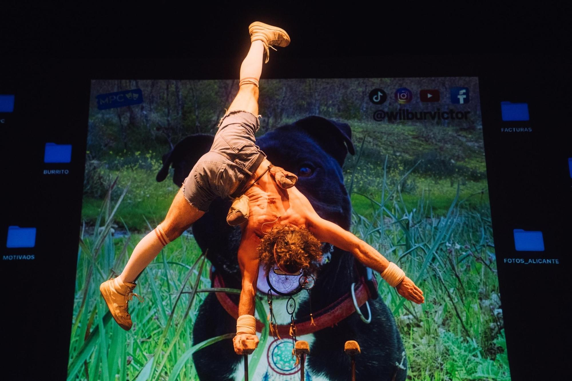FOTOS | Gala 20 Anys del Circ Bover en el Festival de Circ d’Alcúdia