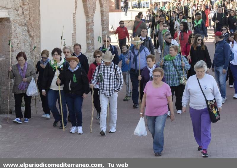 GALERÍA DE FOTOS - Romería Magdalena 2014 (3)