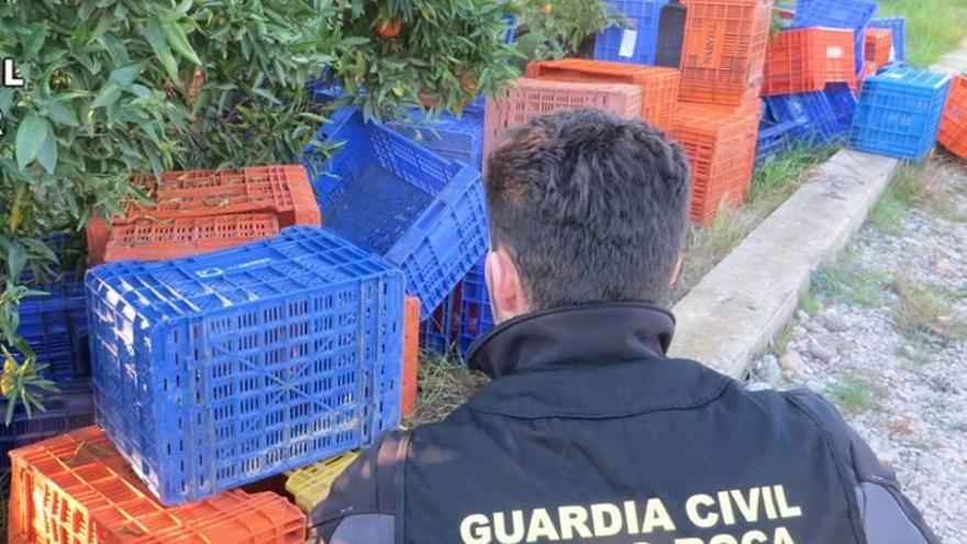 ‘Pillan’ a dos adultos y un menor con 8.000 kilos de naranja robada