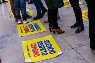 El bipartito de Alicante convoca con retraso la "comisión del ruido" pese a su corta vida