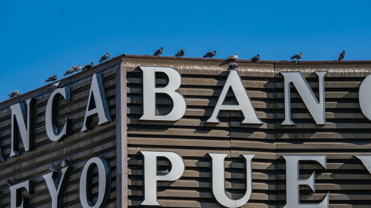 Los animales apoyados en las vallas publicitarias, situadas arriba de los edificios, llenas de excrementos.