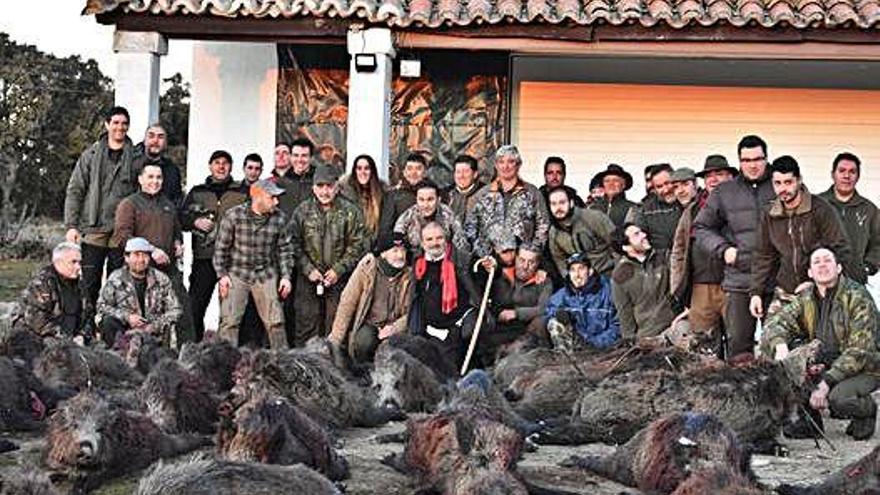 Jabalíes abatidos en una montería del oeste de la provincia.