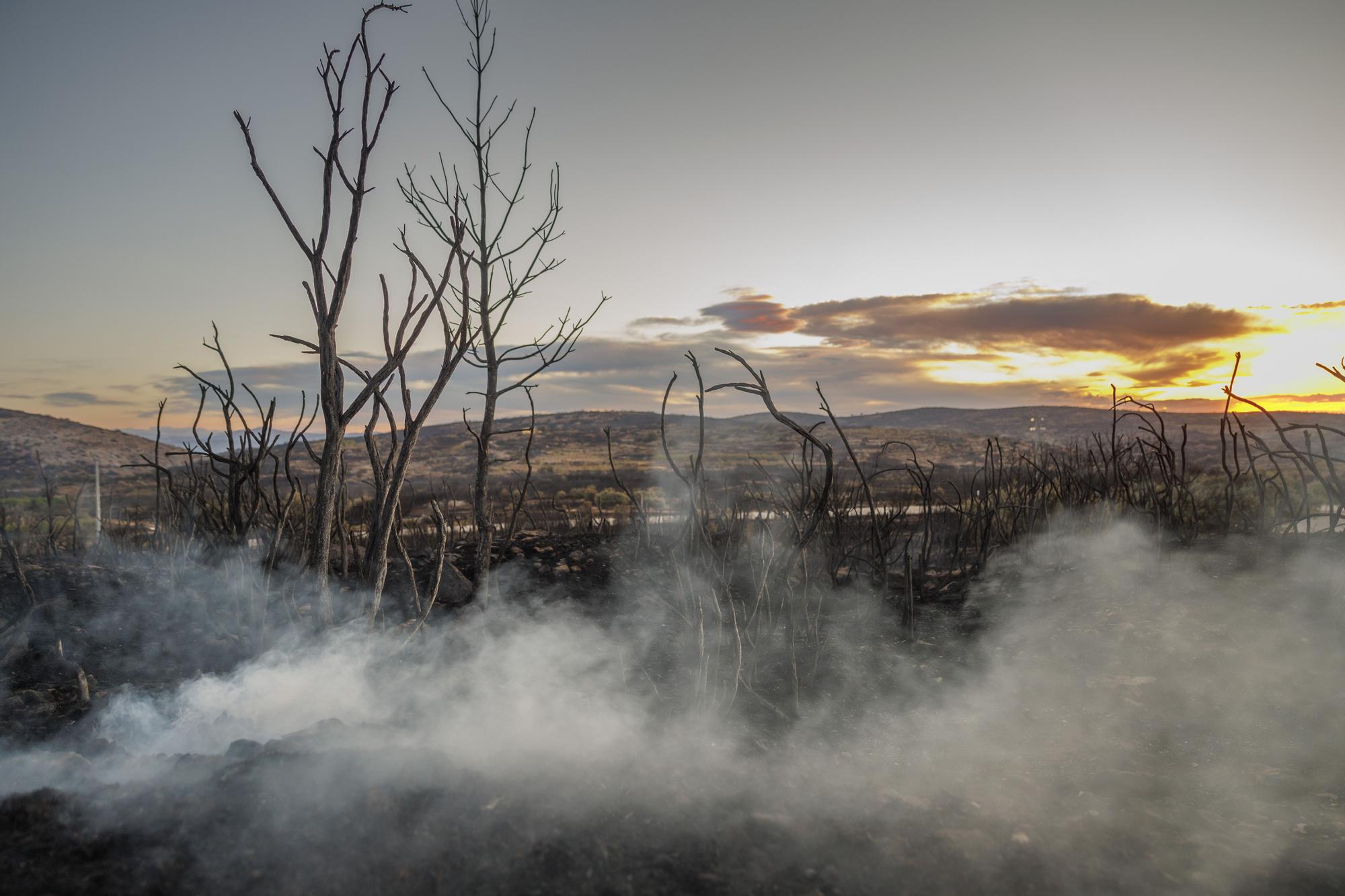 La lluvia reduce la llama del incendio de Bejís hasta casi desaparecer