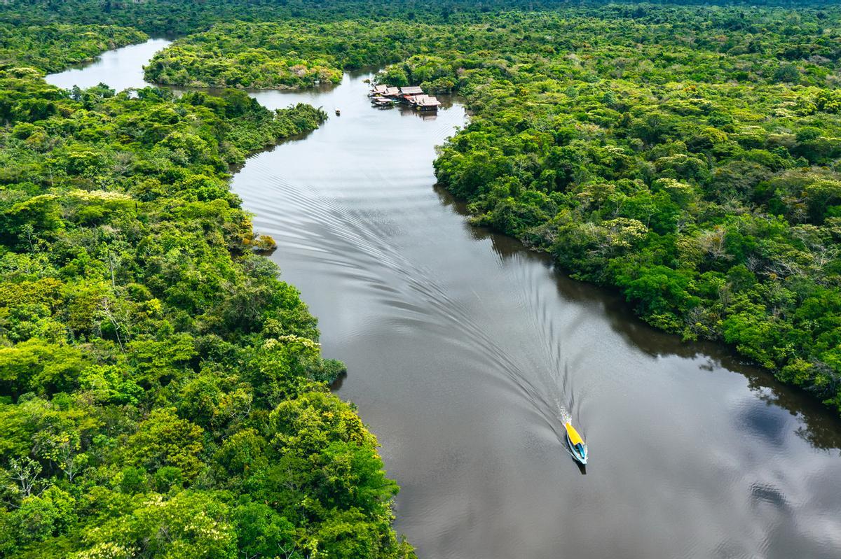 Una embarcación navega por la inmensidad verde de la Amazonia peruana.