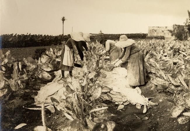 La mujer, fundamental en la cultura tradicional de Gran Canaria