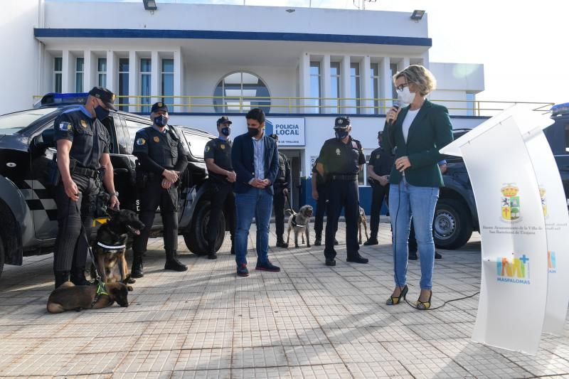 Reestructuración de la Policía Local de Maspalomas