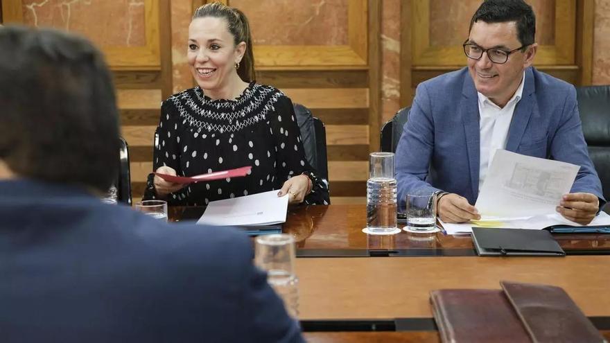 El Gobierno de Canarias abrirá un concurso para buscar viviendas inacabadas y convertirlas en públicas