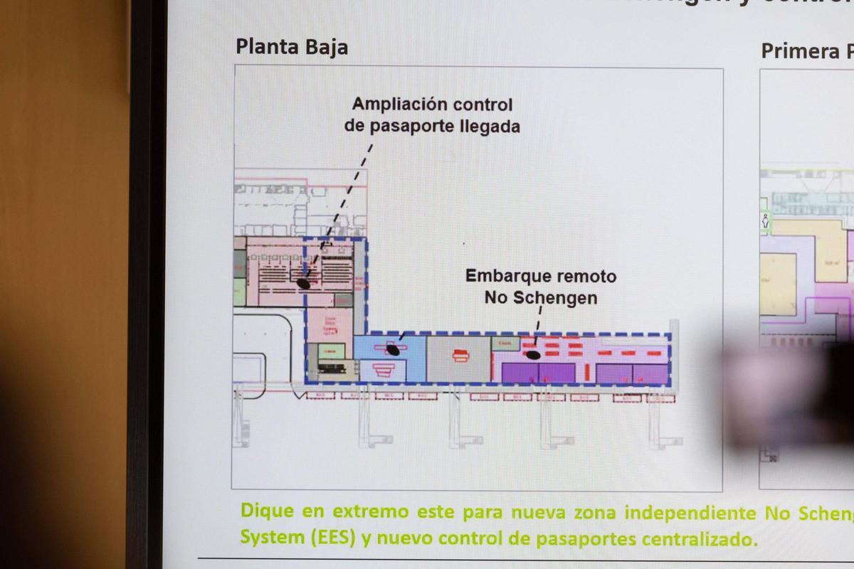 AENA insiste en que no va aumentar el número de vuelos ni de pasajeros en el aeropuerto de Ibiza