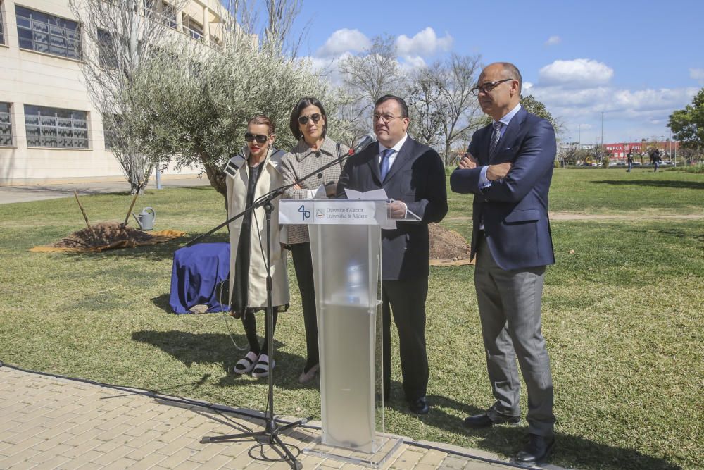 El fundador de Vectalia, Joaquín Arias, recibirá a la Mención Honorífica del Consejo Social de la UA a título póstumo