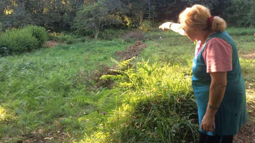 Una vecina muestra la finca donde se encontraba el hombre cuando sufrió las picaduras de avispas. // M.F.