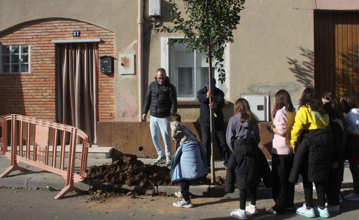 Los alumnos del Colegio Público Aragón participaron en el proyecto ‘Apadrina tu árbol’.