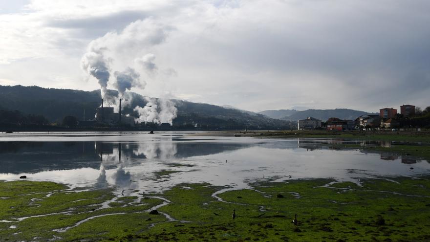 Cuatro empresas pugnan por el proyecto técnico para adscribir los terrenos de Ence al Puerto