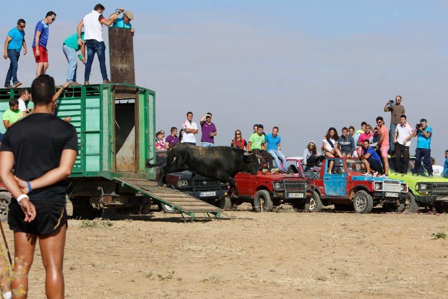 Villalpando despide los toros