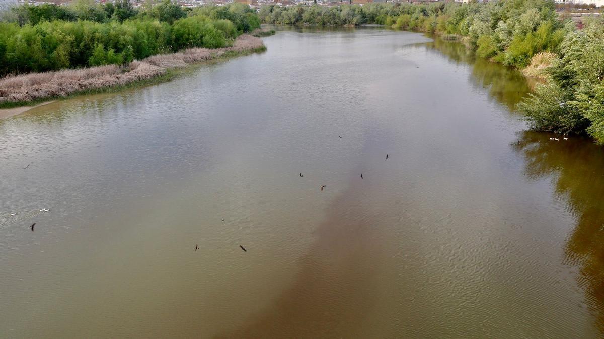 Imagen de la mancha localizada en el río Guadalquivir.