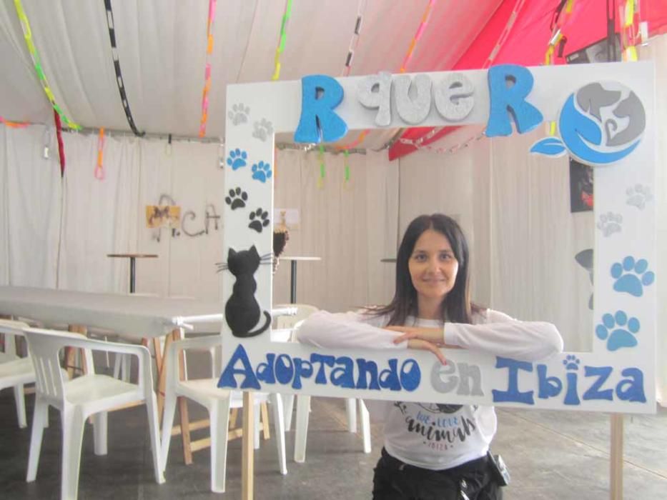 Fiesta en beneficio de los animales