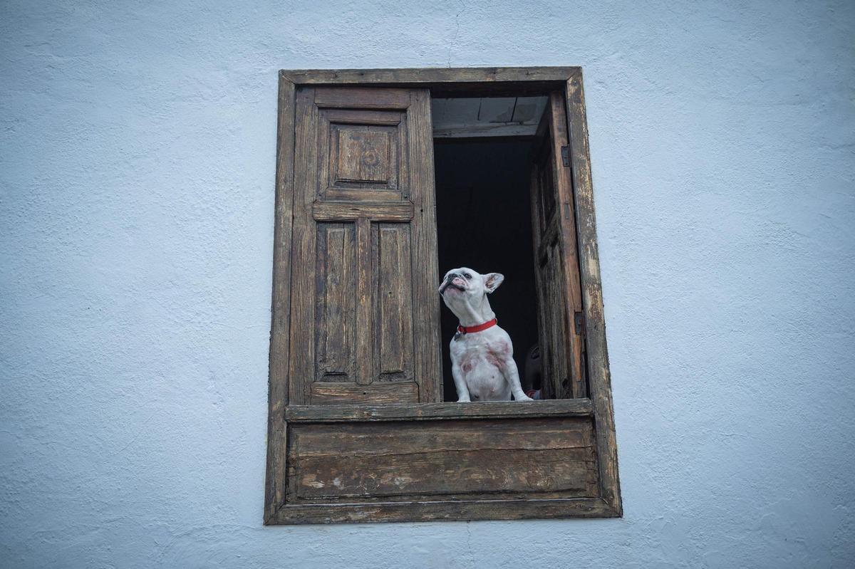 La vida en Chirche (Guía de Isora), uno de los pueblos de la Tenerife vaciada