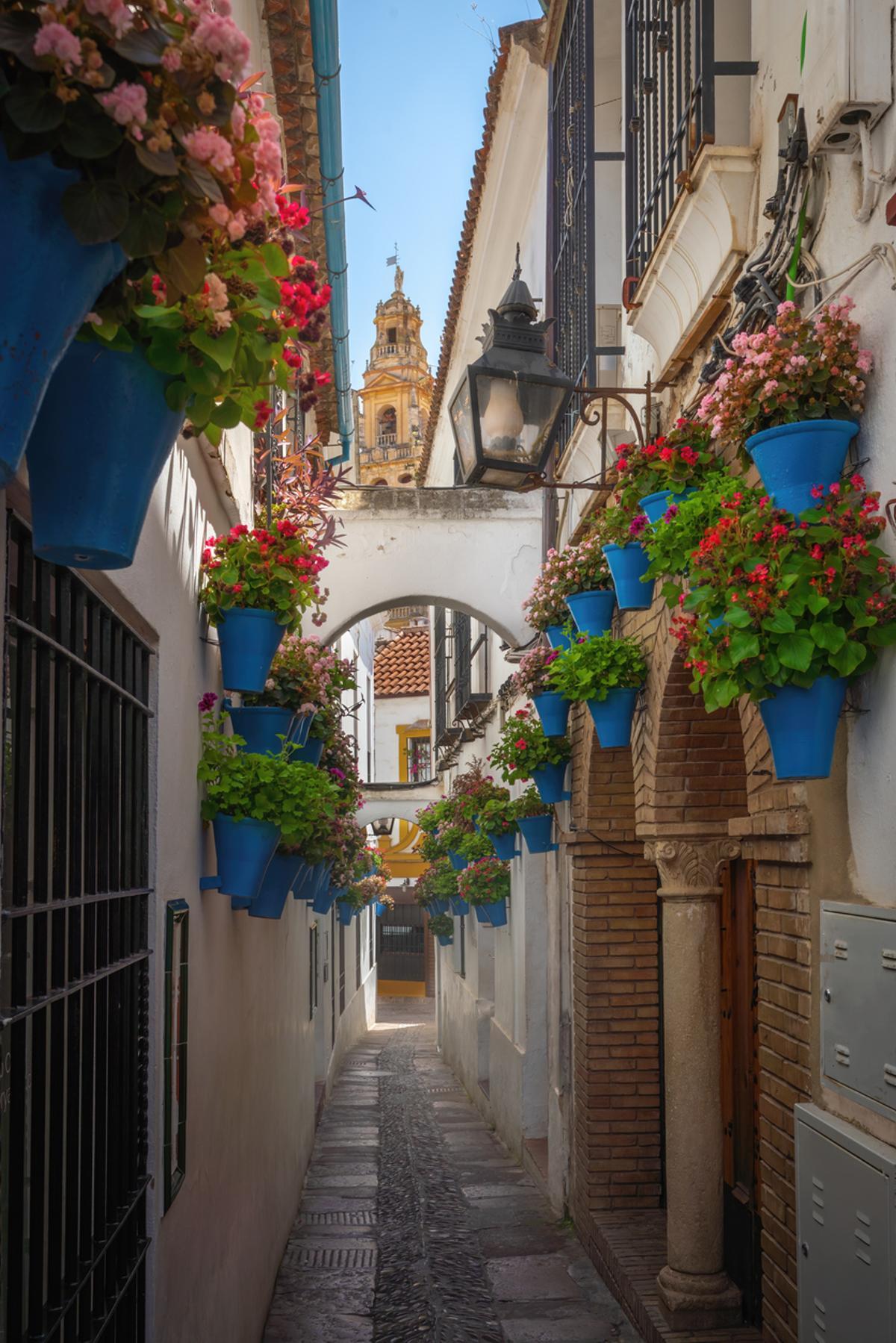 Calleja de las Flores, Córdoba