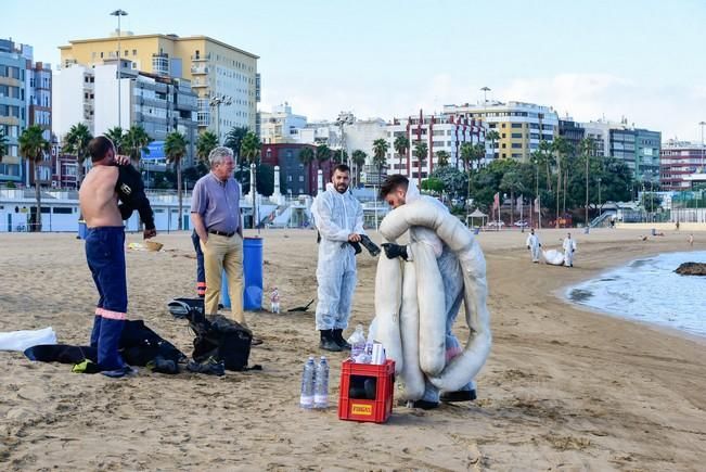 Las Alcaravaneras cerrada al baño por un ...