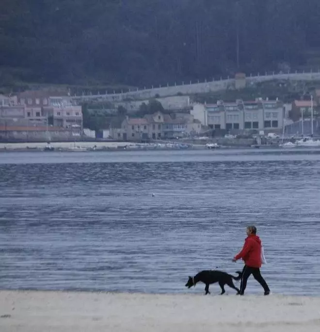 La Policía identifica a siete personas por acudir con perros a las playas de Bueu