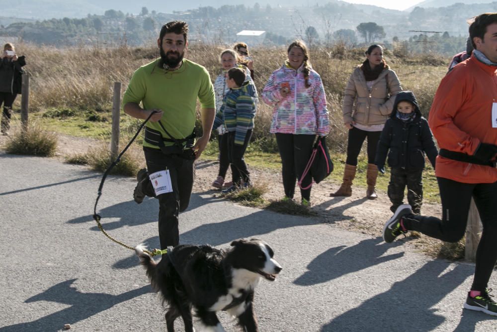 Canicross solidario en Alcoy