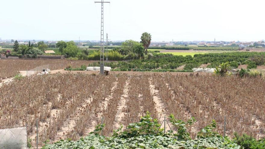 Vista de la huerta de Godella