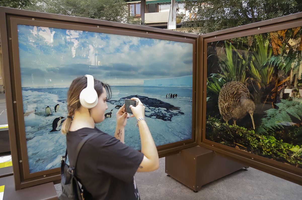 Las fotos de National Geographic en la Bienal de Córdoba