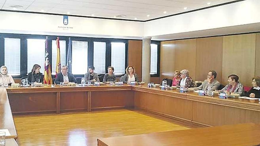 Representantes de la tercera edad, ayer, en el salón de plenos.