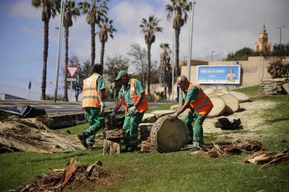 Fotos de las actividades que paran hoy en Santa Cruz de Tenerife  | 30/03/2020 | Fotógrafo: Delia Padrón