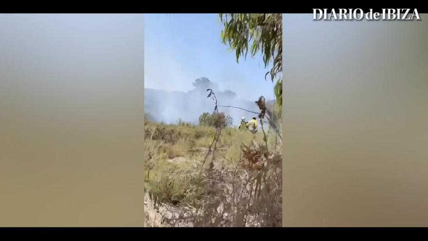 Vídeo: Un incendio de rastrojos afecta 800 metros cuadrados en Platja d&#039;en Bossa