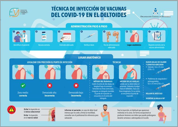 Gráfico realizado por la Asociación Nacional de Enfermería y Vacunas para ilustrar a los encargados de vacunar.
