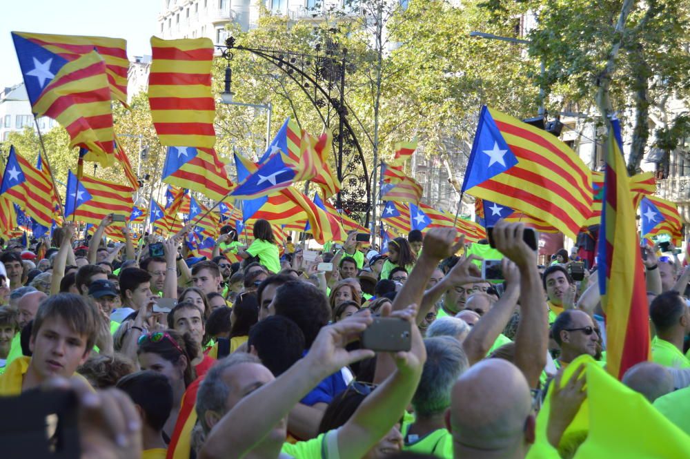 Berguedans a la concentració de la Diada