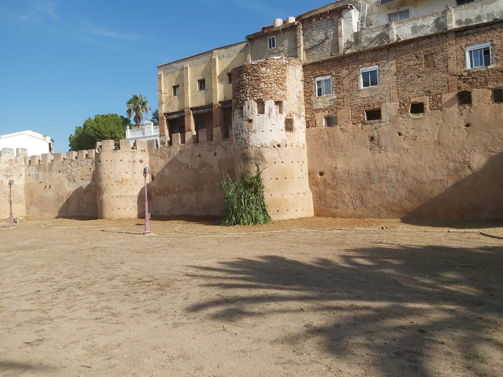 Los mejores momentos de la fiesta grande que Alzira dedica a su patrona