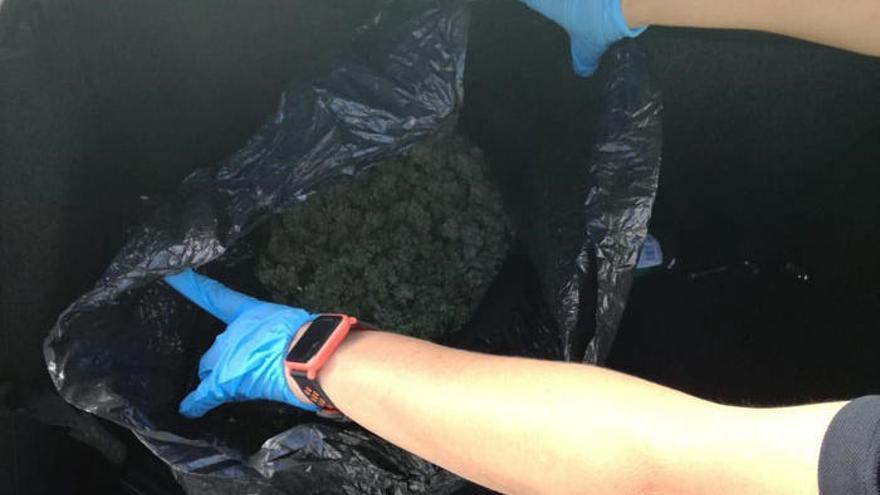 Interceptan un vehículo con marihuana en una bolsa de basura en Vélez