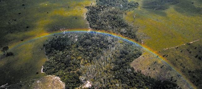 Vista aérea de un bosque deforestado en el estado brasileño de Pará, en la Amazonia.