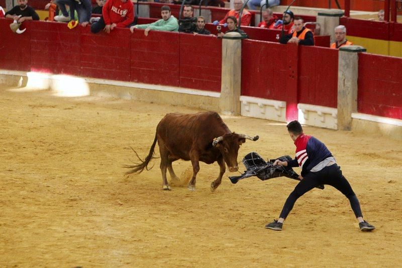 Vaquillas del 9 de octubre