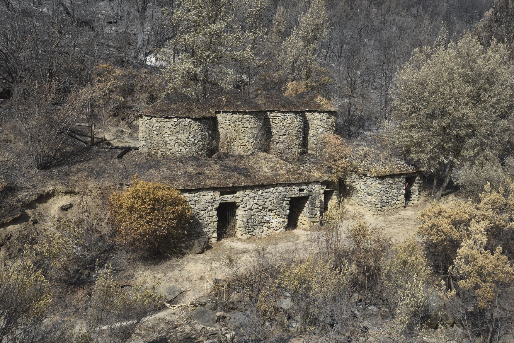 Així ha afectat el foc les tines de la Vall del Flequer