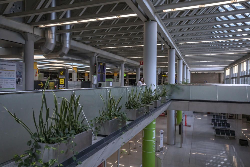 Flughafen Mallorca erscheint wie ein Geister-Airport