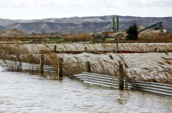 Fotogalería: La crecida del Ebro a su paso por Zaragoza