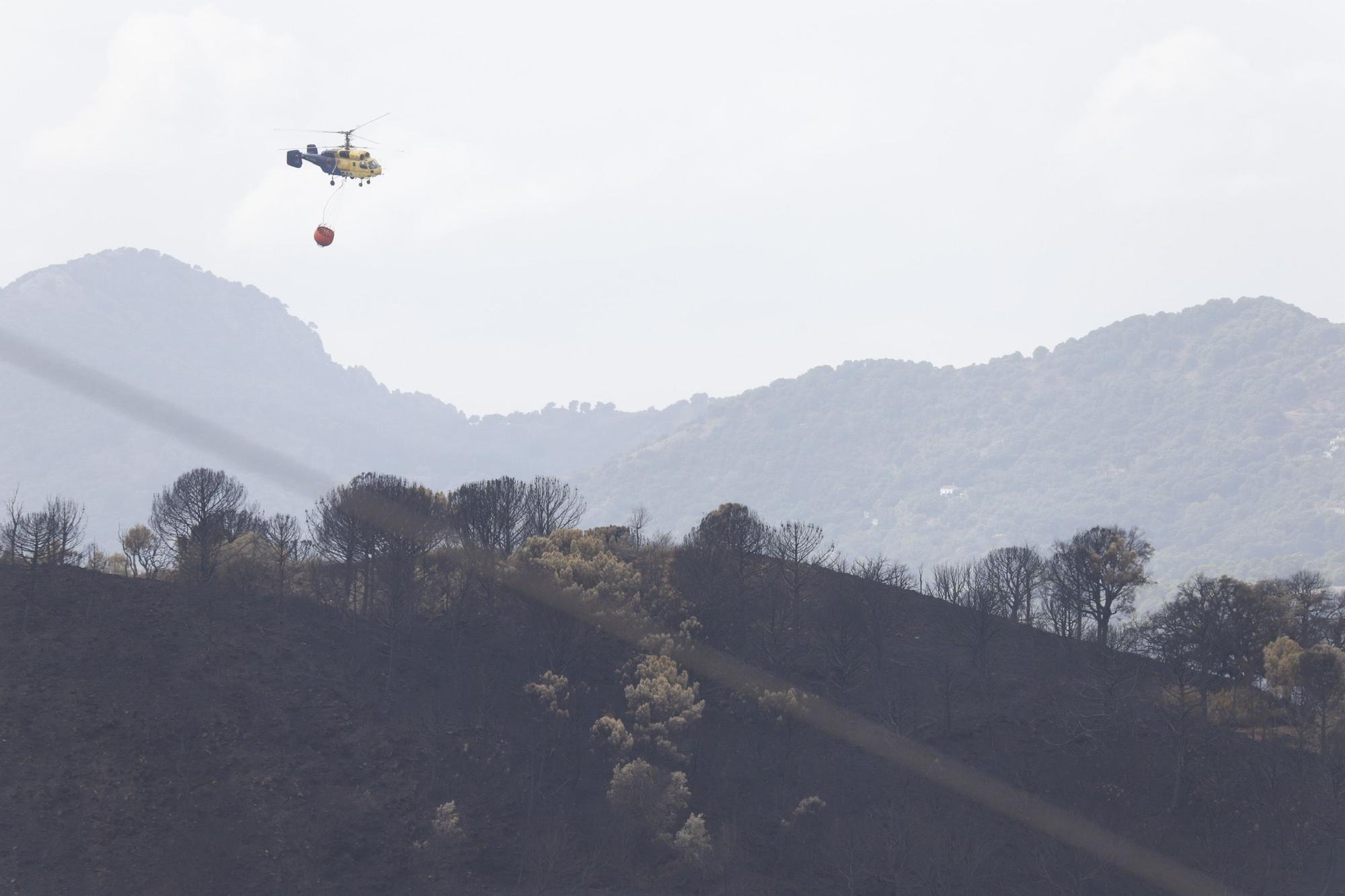 El Paraje de las Peñas Blancas en Estepona arrasado por el fuego