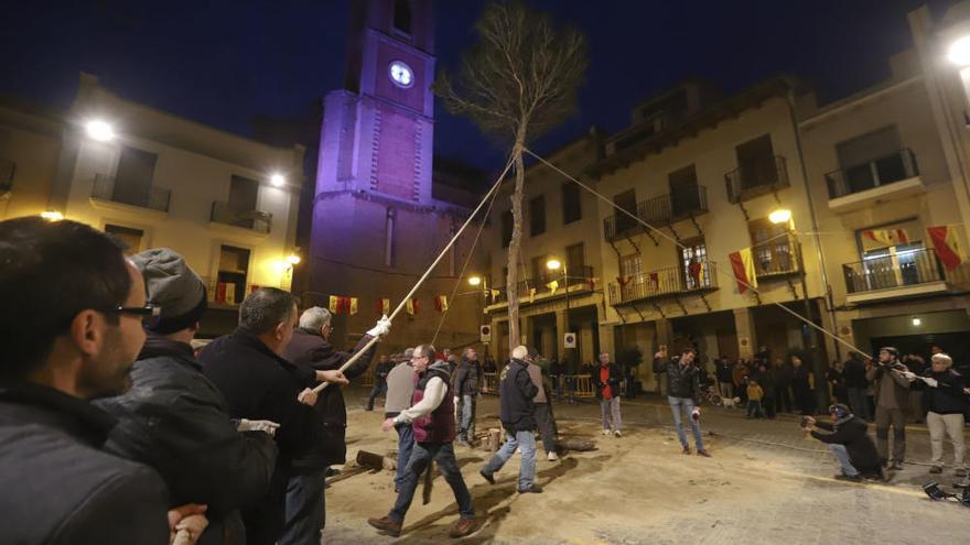 Plantà del Pí, en Sagunt, en una anterior edición.