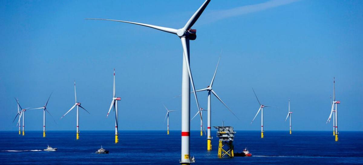 Un parque eólico marino. |  | LNE